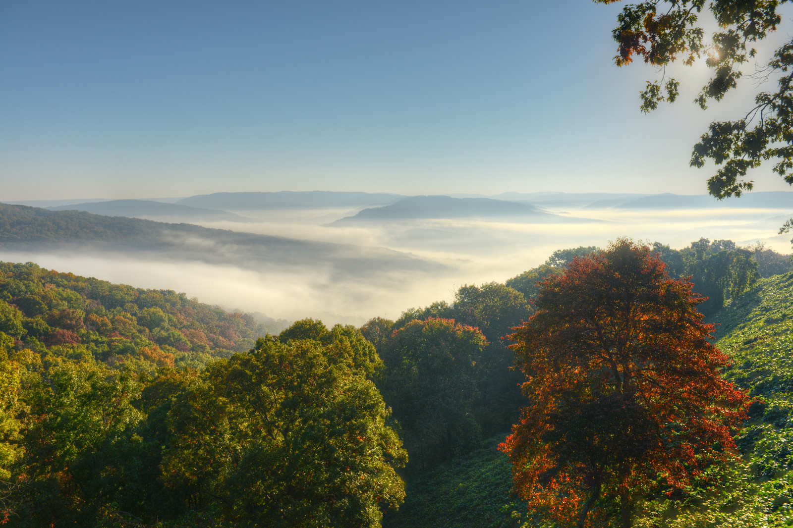 Pig Trail Arkansas