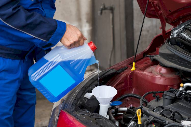 fluids in a 6 car Check Fluids Your to How 5 Essential Car in the