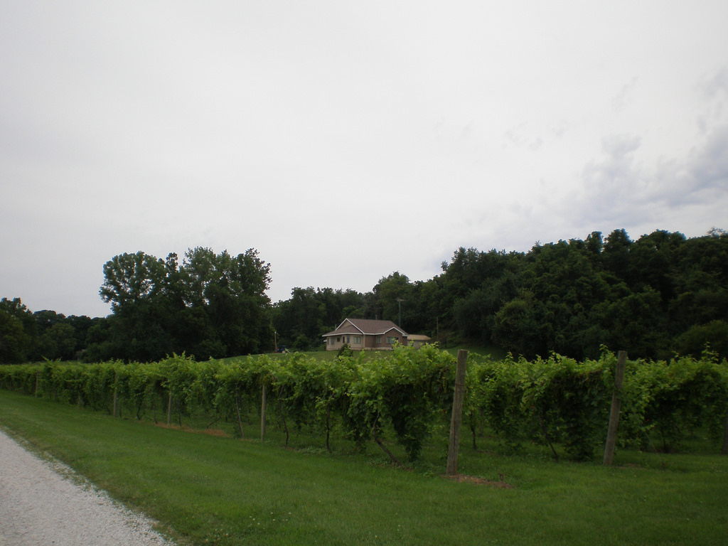Wabash River Wines Illinois