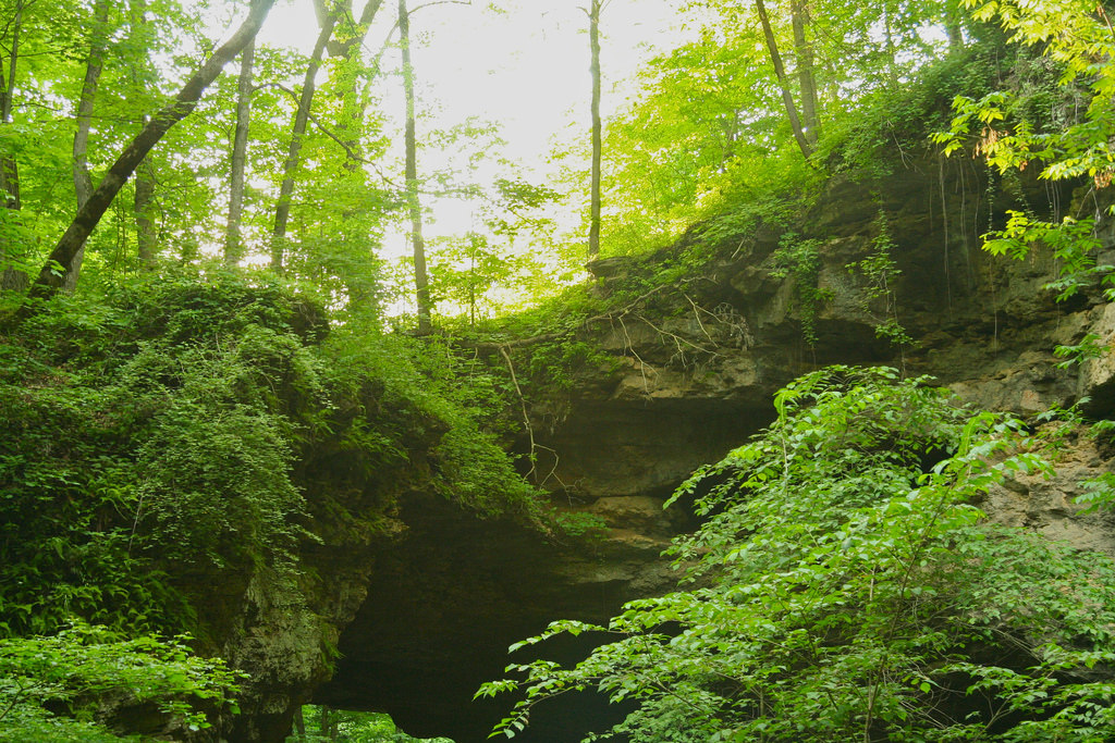 Northeast Iowa Tour Iowa