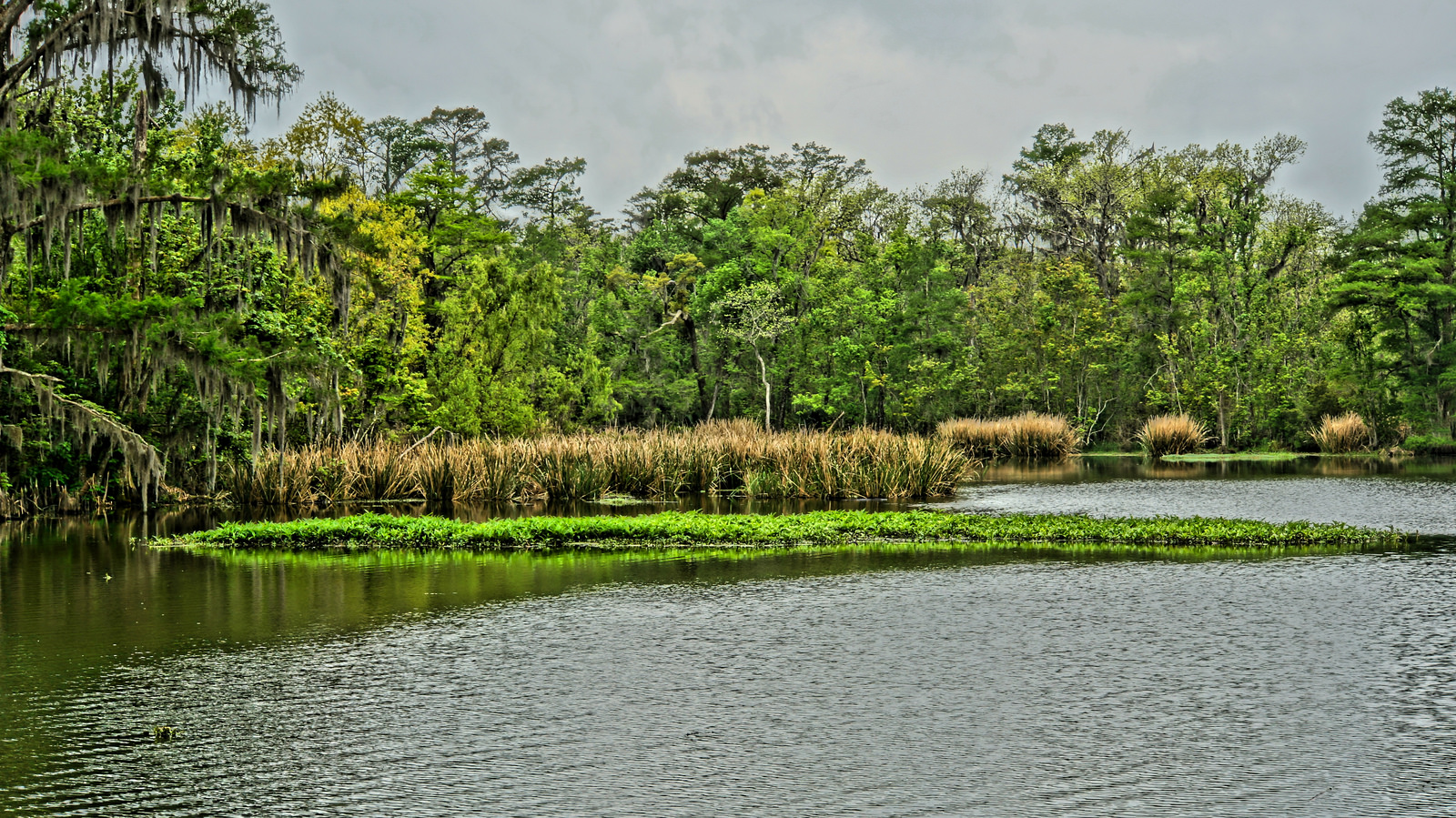 Top 10 Scenic Drives in Louisiana | YourMechanic Advice