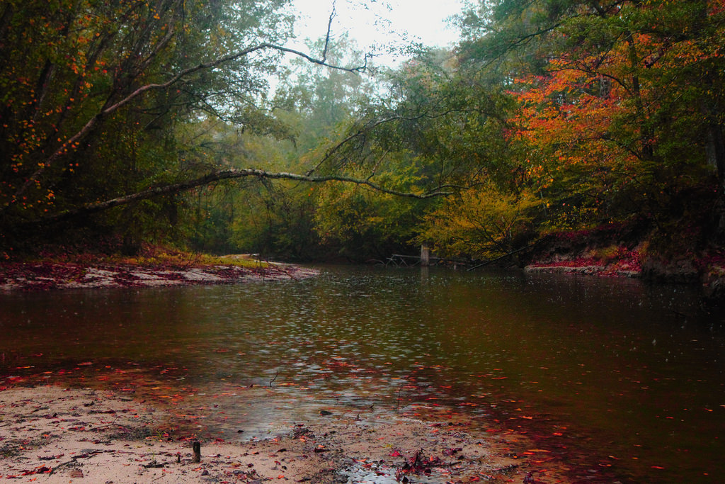 Longleaf Trail Scenic Byway Louisiana