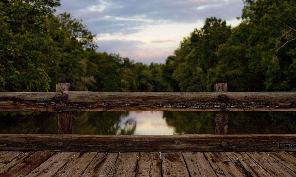 Top 10 Scenic Drives in Louisiana | YourMechanic Advice