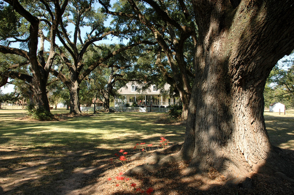 Cane River Heritage Trail Louisiana