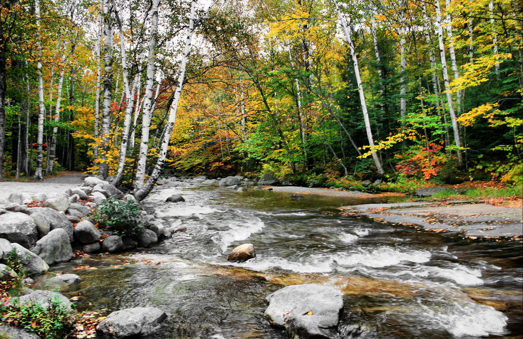 Grafton Notch, Maine