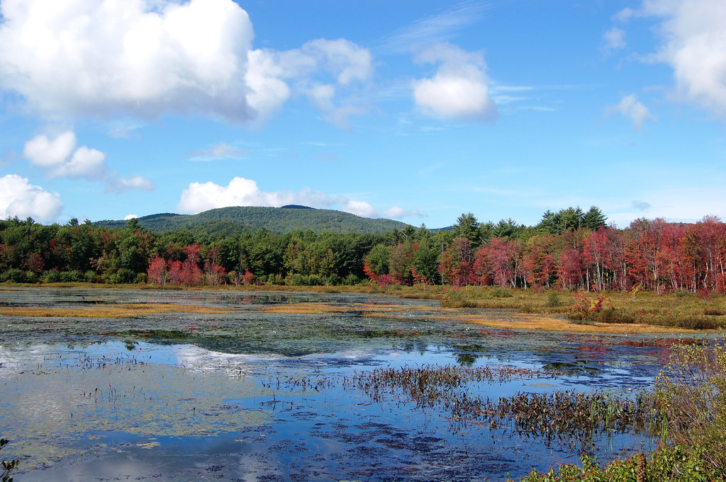 Top 10 Scenic Drives in Maine | YourMechanic Advice