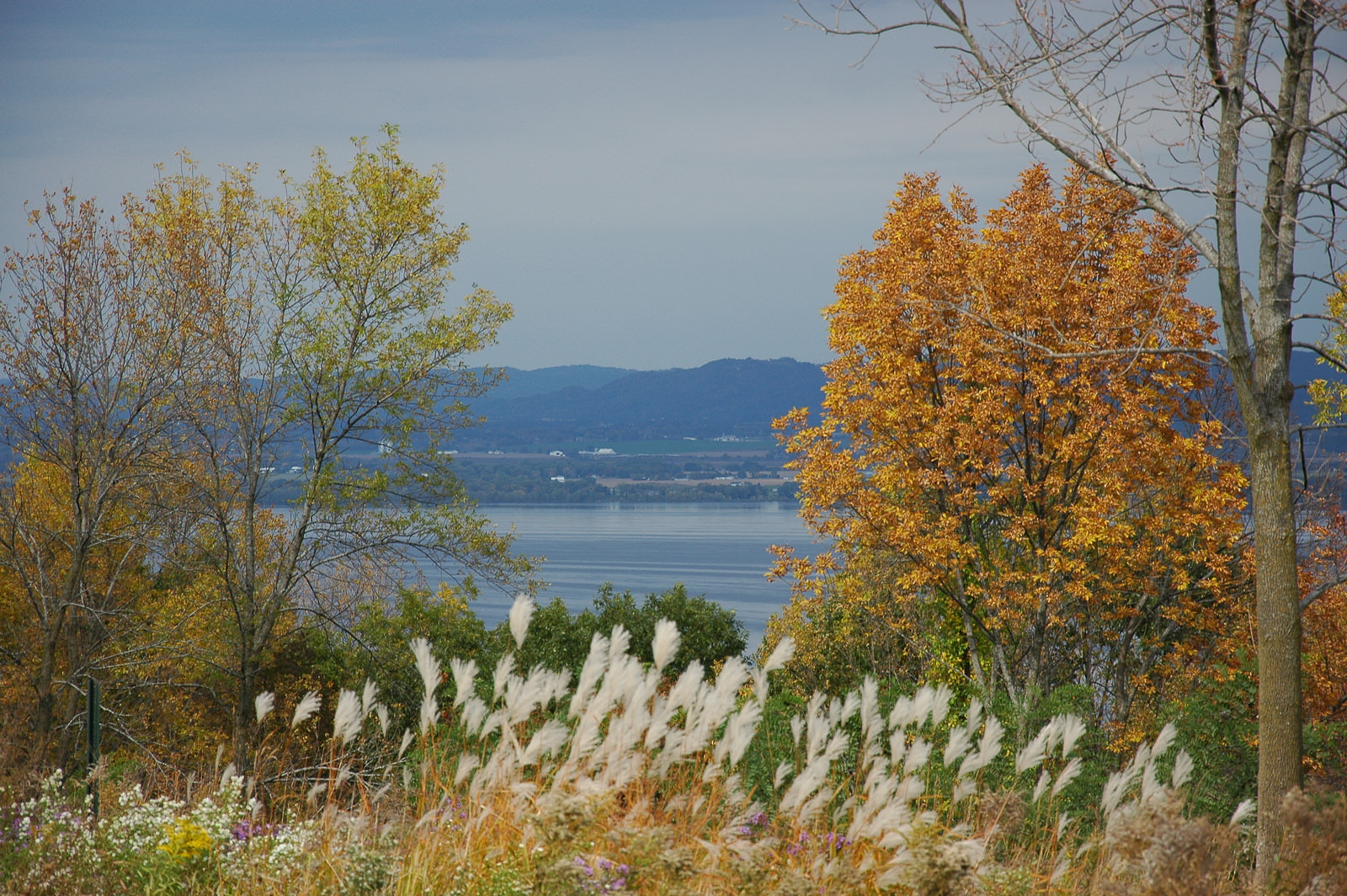 Apple Blossom Drive Scenic Byway Minnesota