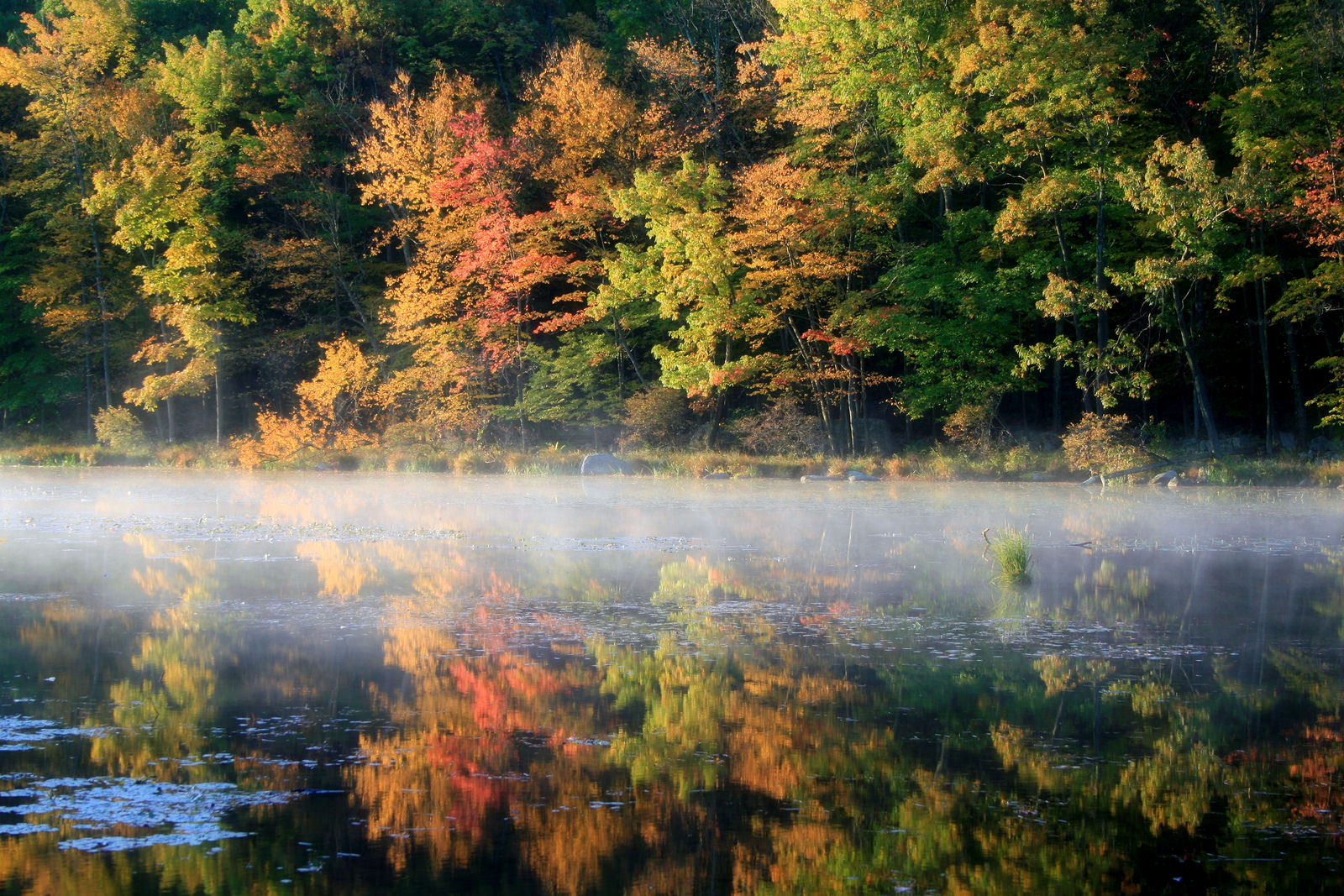 Harriman State Park Loop New York