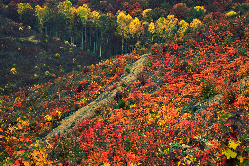 Ohio River Scenic Byway