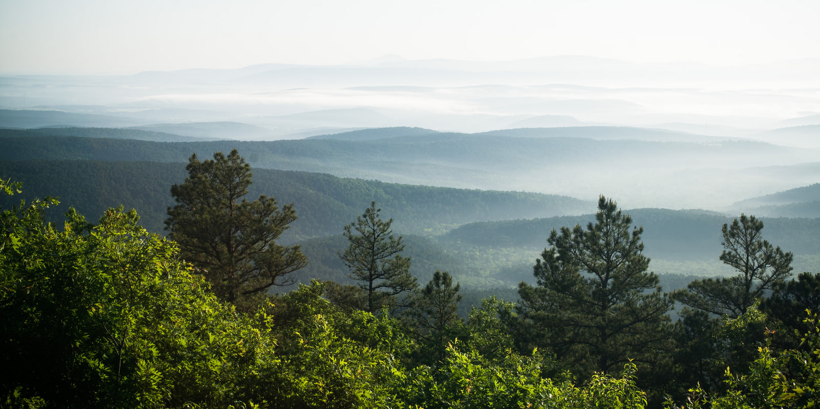 Talimena Scenic Drive Oklahoma