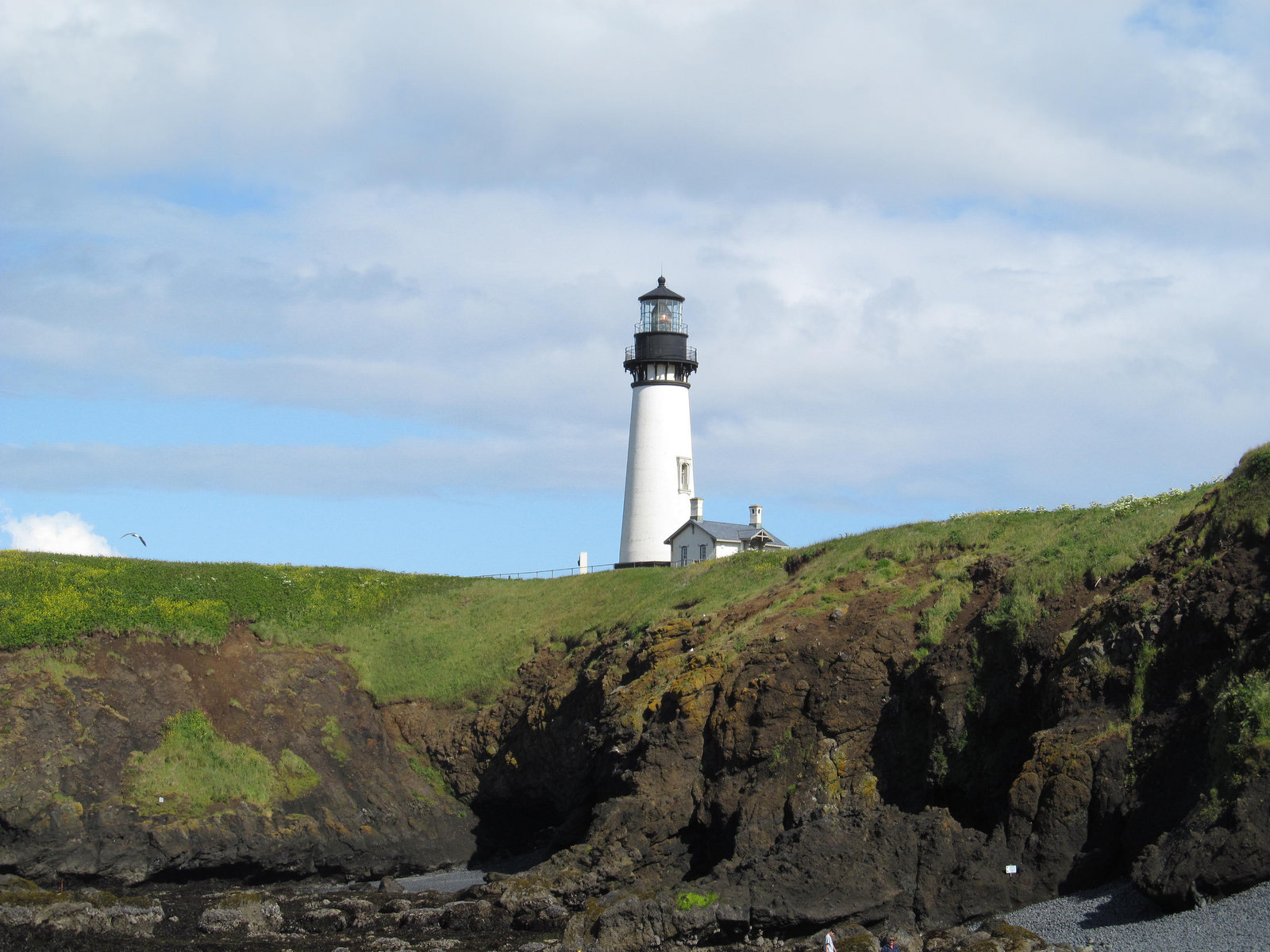 Oregon Coastline