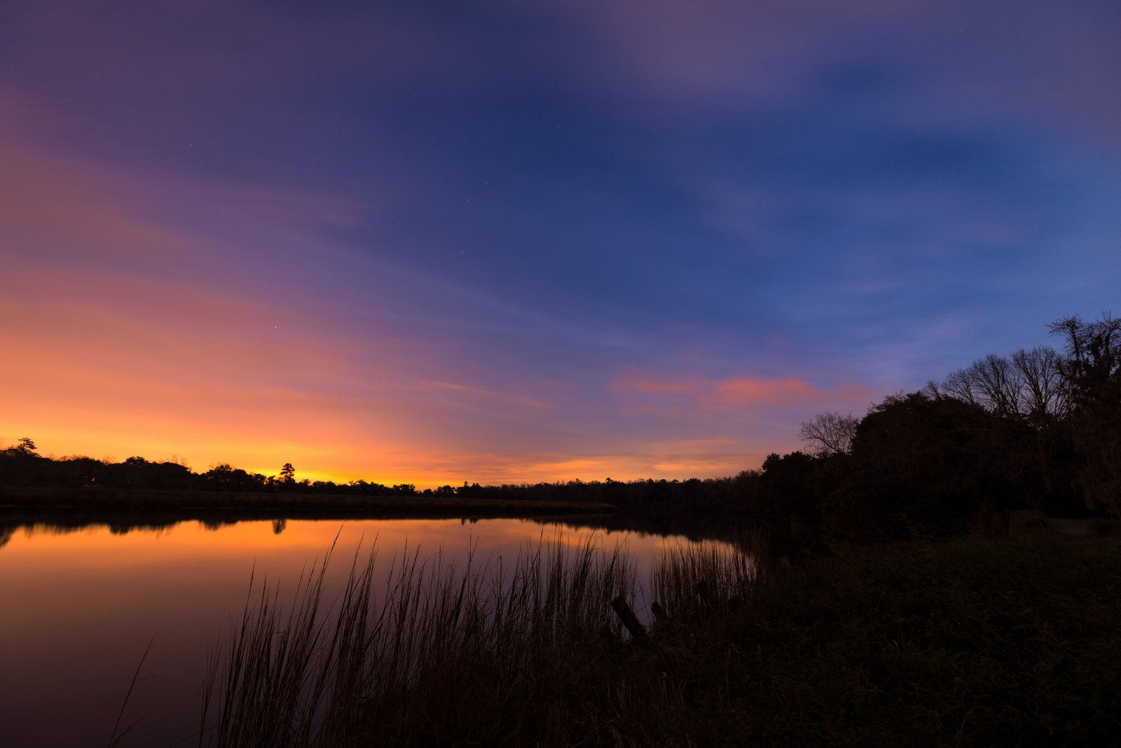 Ashley River Road South Carolina