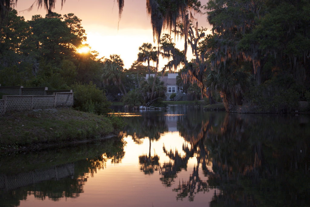 Edisto Island Tour South Carolina