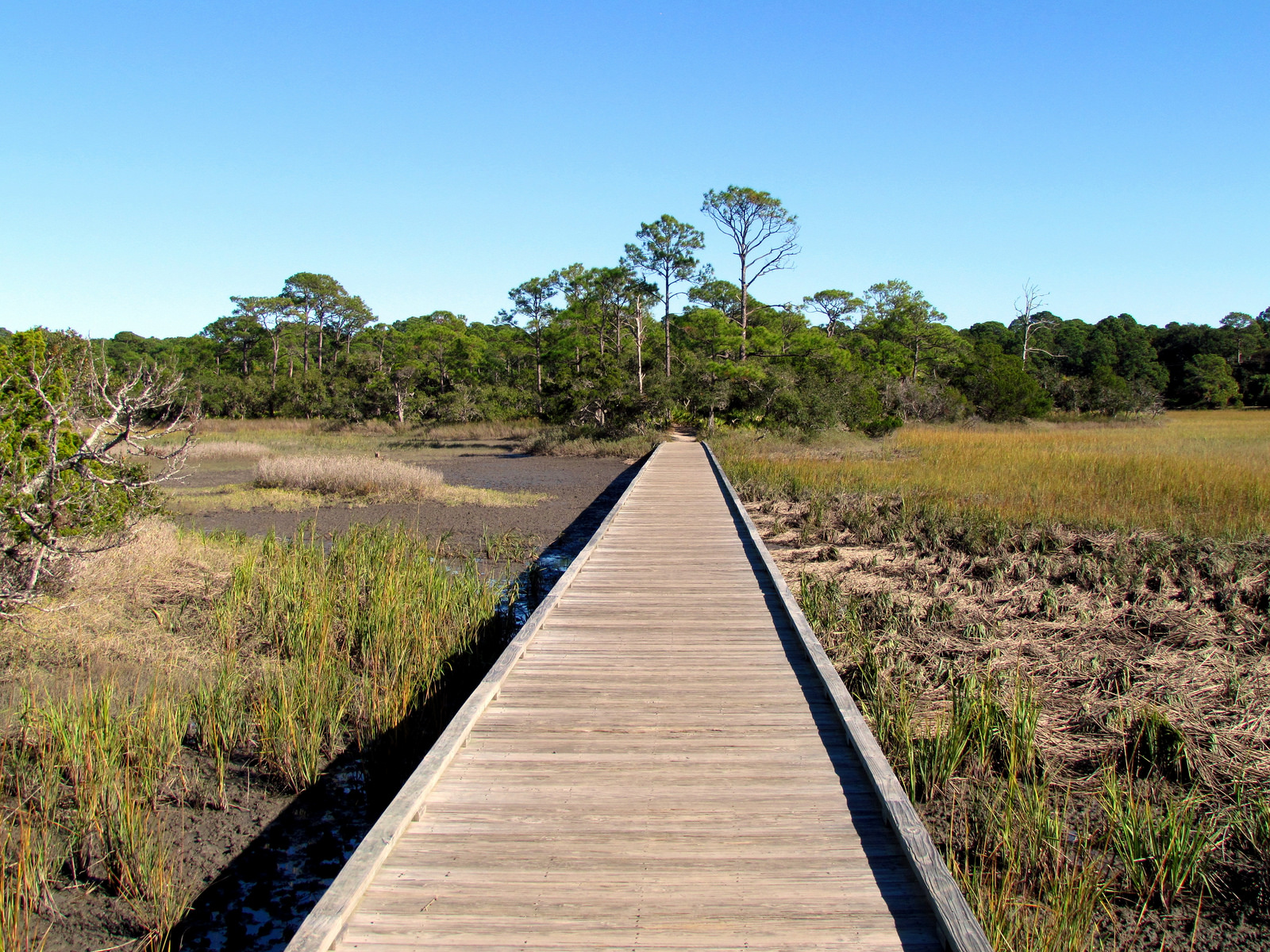 US 21 Scenic Highway South Carolina
