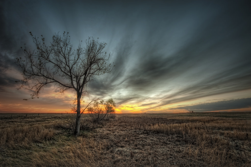 Grand River National Grassland South Dakota