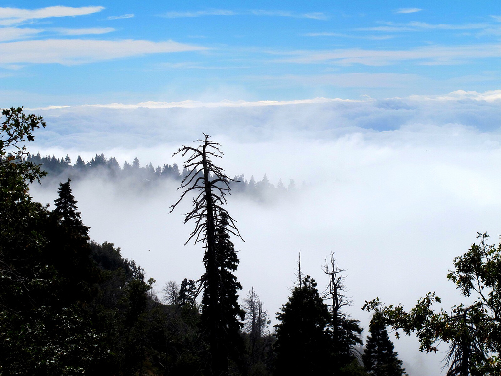 Rim of the World Scenic Byway Southern California