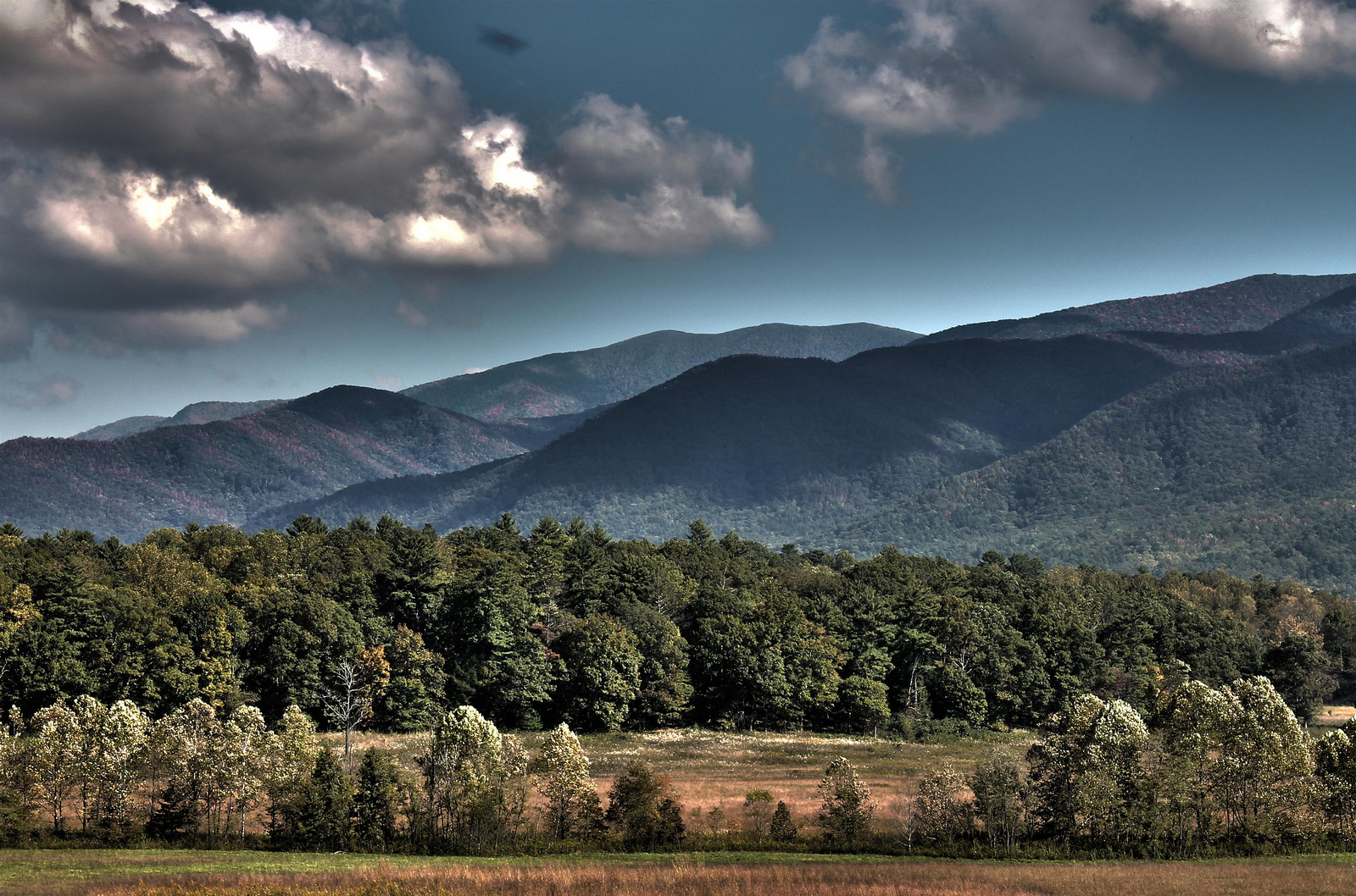 Cades Cove Loop Tennessee