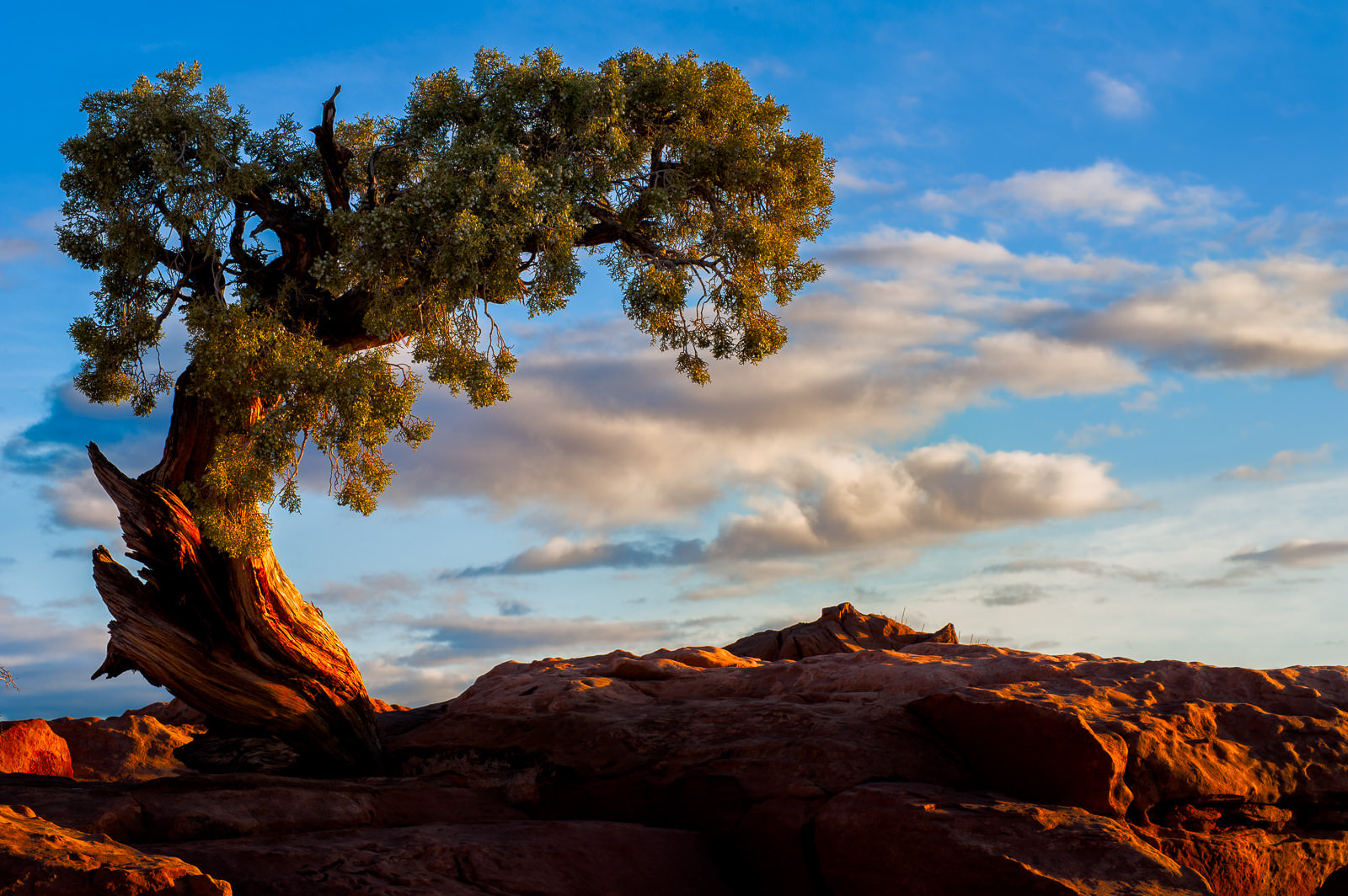 SR 313 to Dead Horse Point Utah