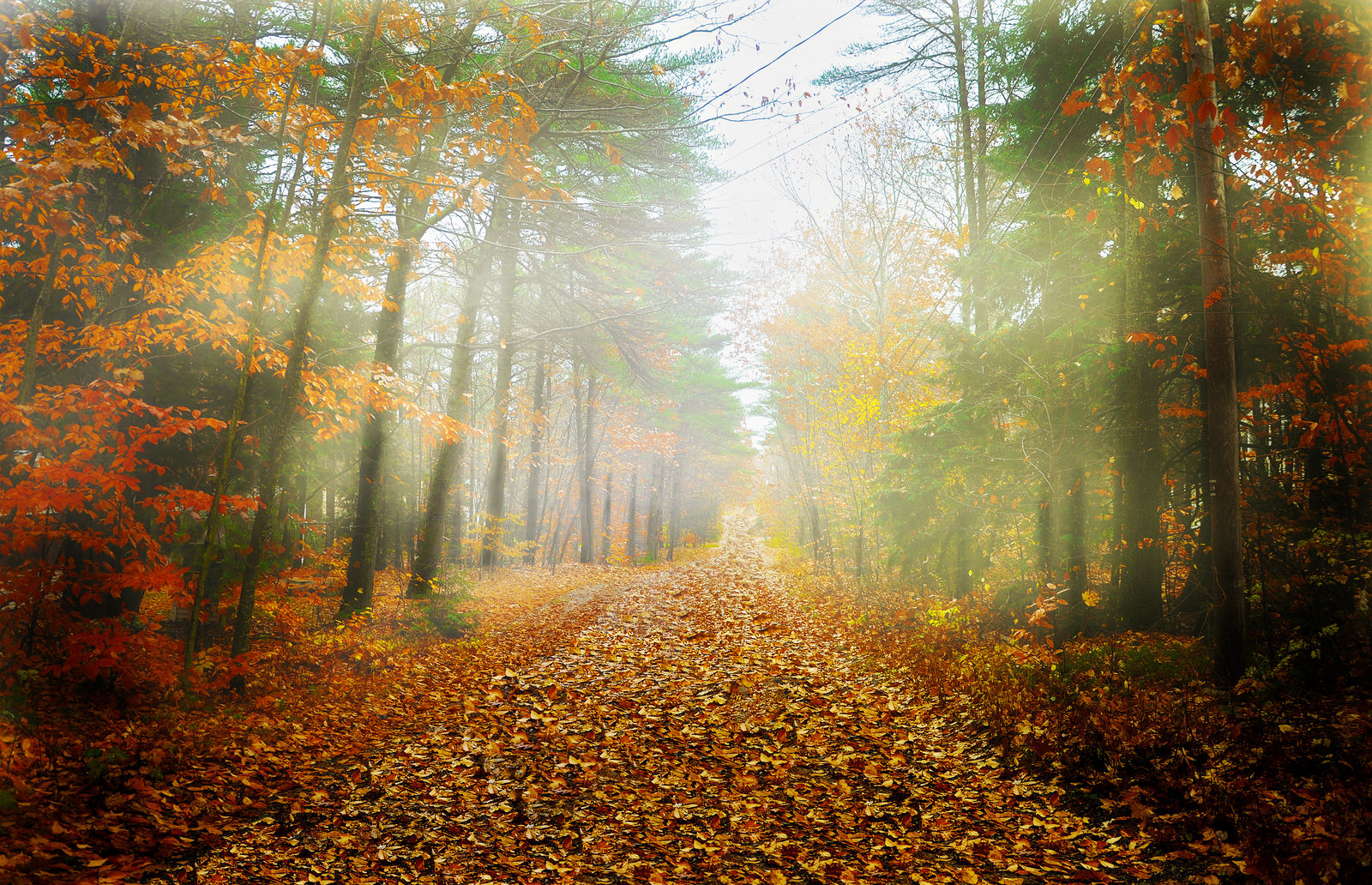 Mad River Byway