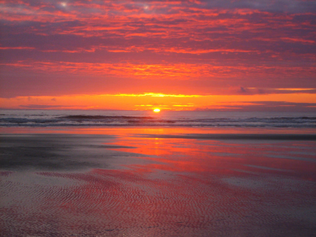 Olympic Peninsula Washington