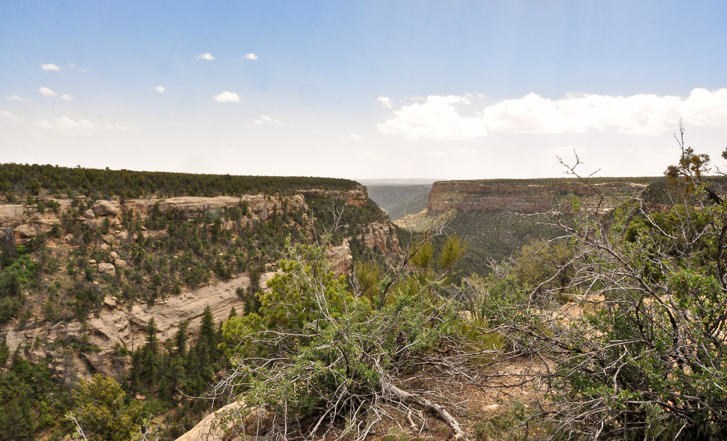 Colorado mesa verde national park
